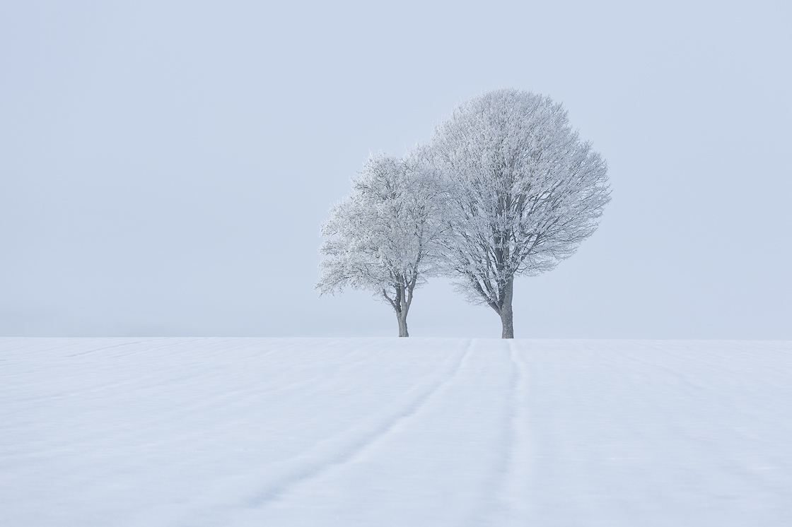 Winterlandschaft fotografiert