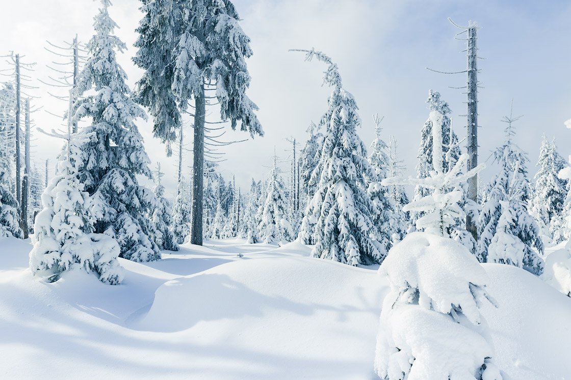 Winterlandschaft auf dem Brocken im Harz