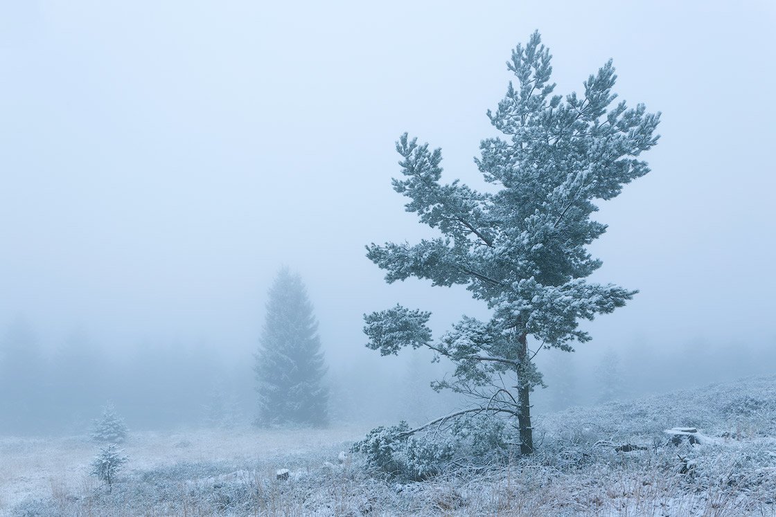 Winter auf dem Velmerstot