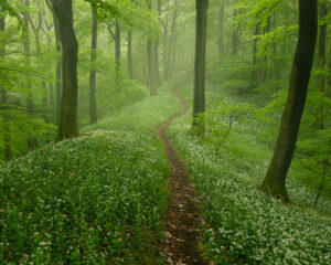 Fotoworkshop Teutoburger Wald